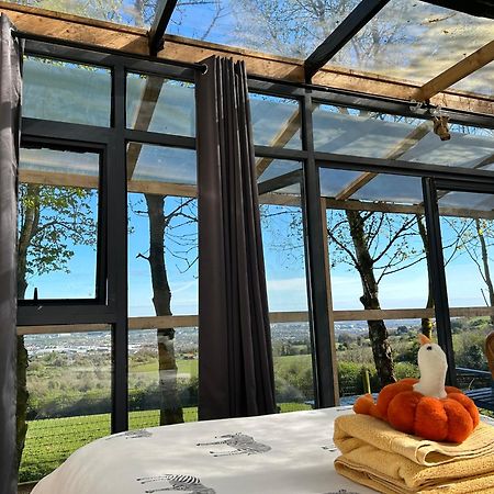 Sky Gazer Cabin In The Woods Дублін Екстер'єр фото